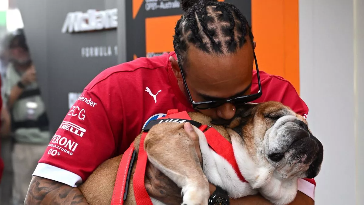 Hamilton holds Roscoe